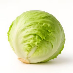 Iceberg 24ct