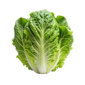 Romaine 24ct