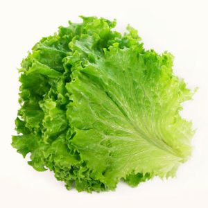 Green Leaf 24ct