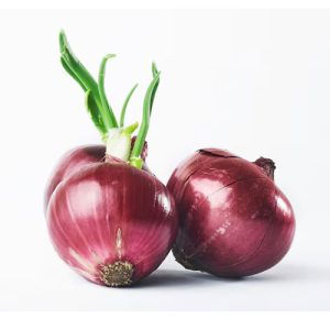 Mex Onion 24ct